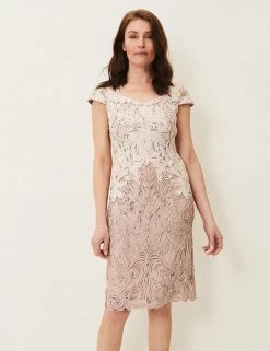 Phase Eight Dresses Lace Knee Length Dress